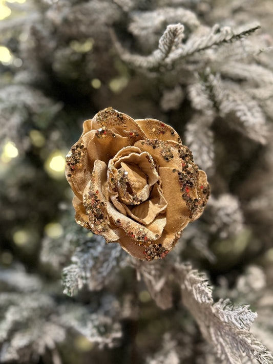 CHAMPAGNE ROSE STEM X420676