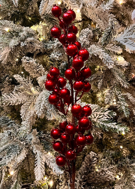 BURGUNDY BERRY STEM X4397708