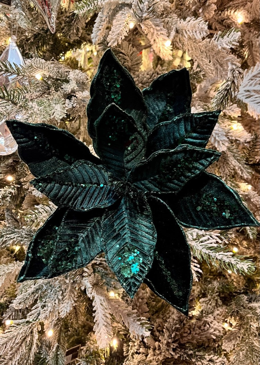 EMERALD GREEN POINSETTIA X430828