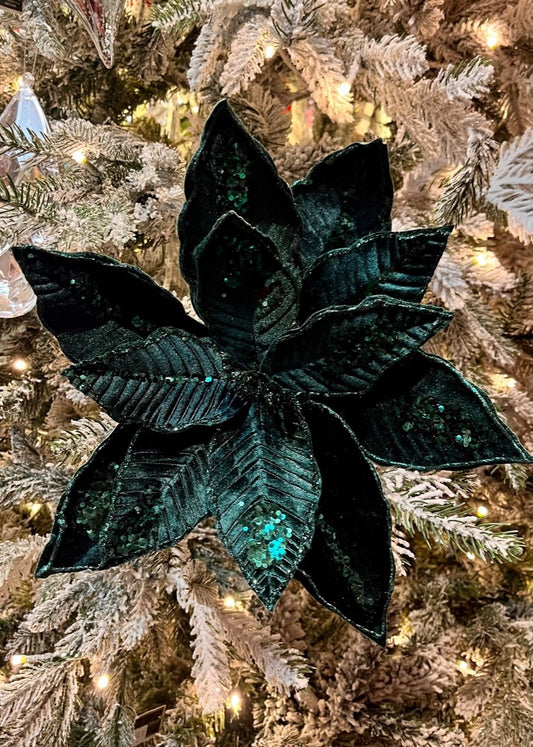 EMERALD GREEN POINSETTIA X430828