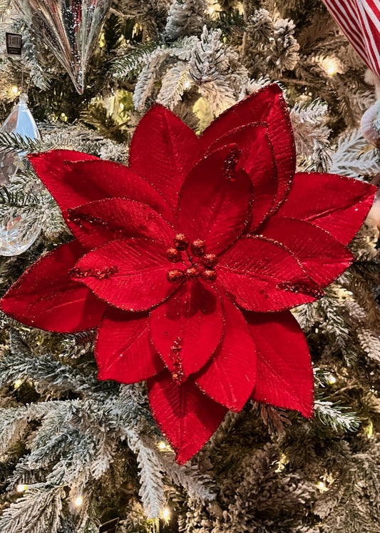 RED POINSETTIA VELOUR X430828