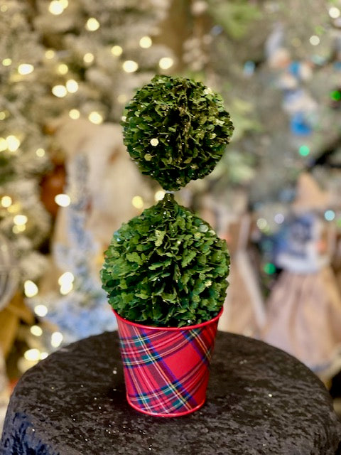 SMALL TOPIARY TREE IN TARTAN POT XLD-C6QZ206