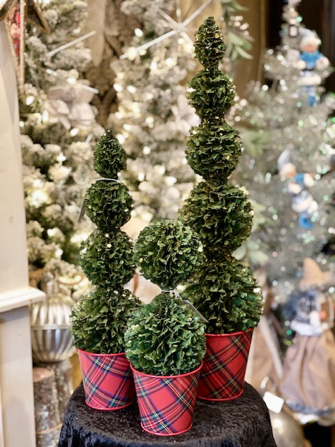SMALL TOPIARY TREE IN TARTAN POT XLD-C6QZ206
