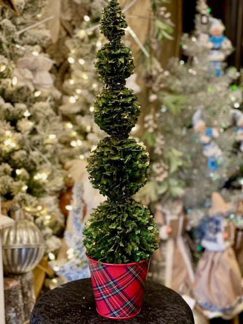 LARGE TOPIARY TREE IN TARTAN POT XLD-C6QZ205