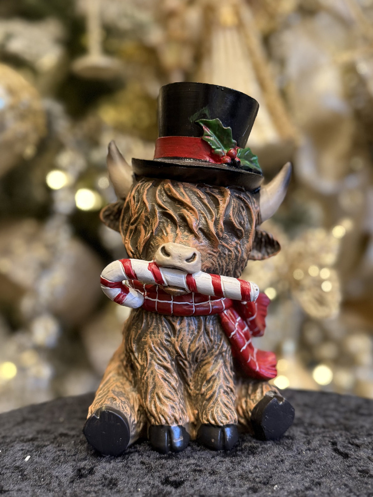 HIGHLAND COW WITH TOP HAT & CANDY CANE