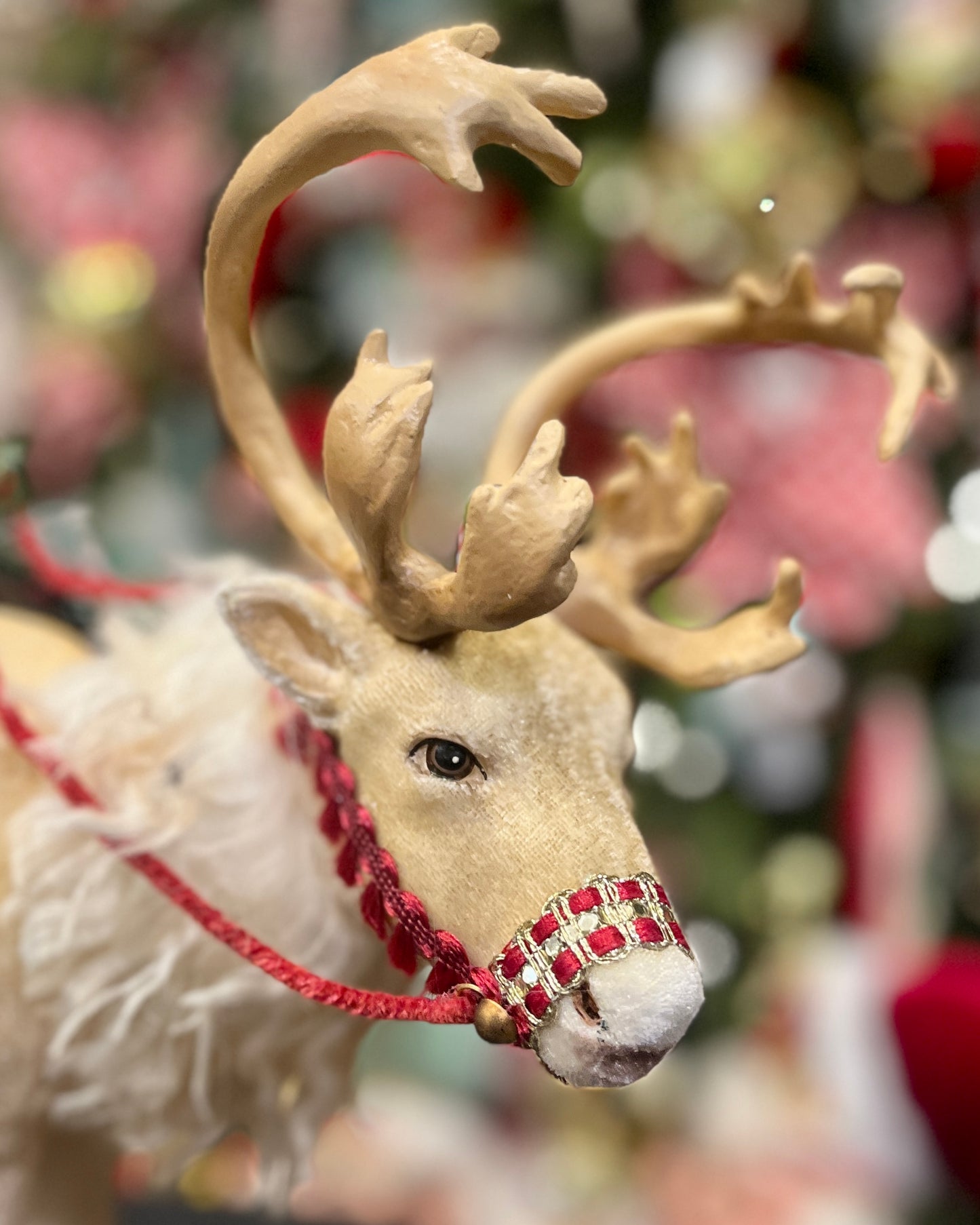 KATHERINE'S COLLECTION - SANTA RIDING CARIBOU 28-428269