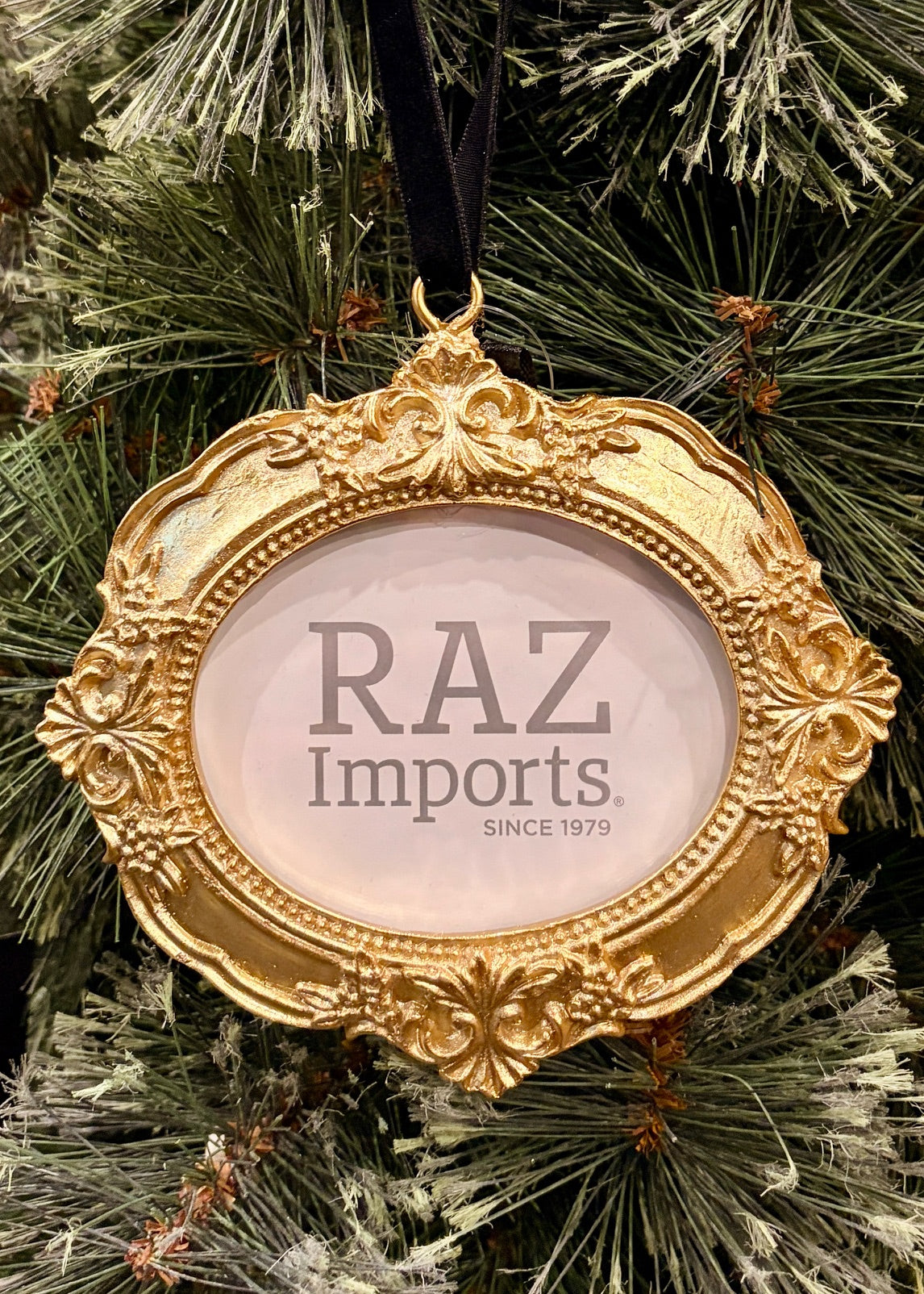 GOLD OVAL HANGING FRAME 4536658