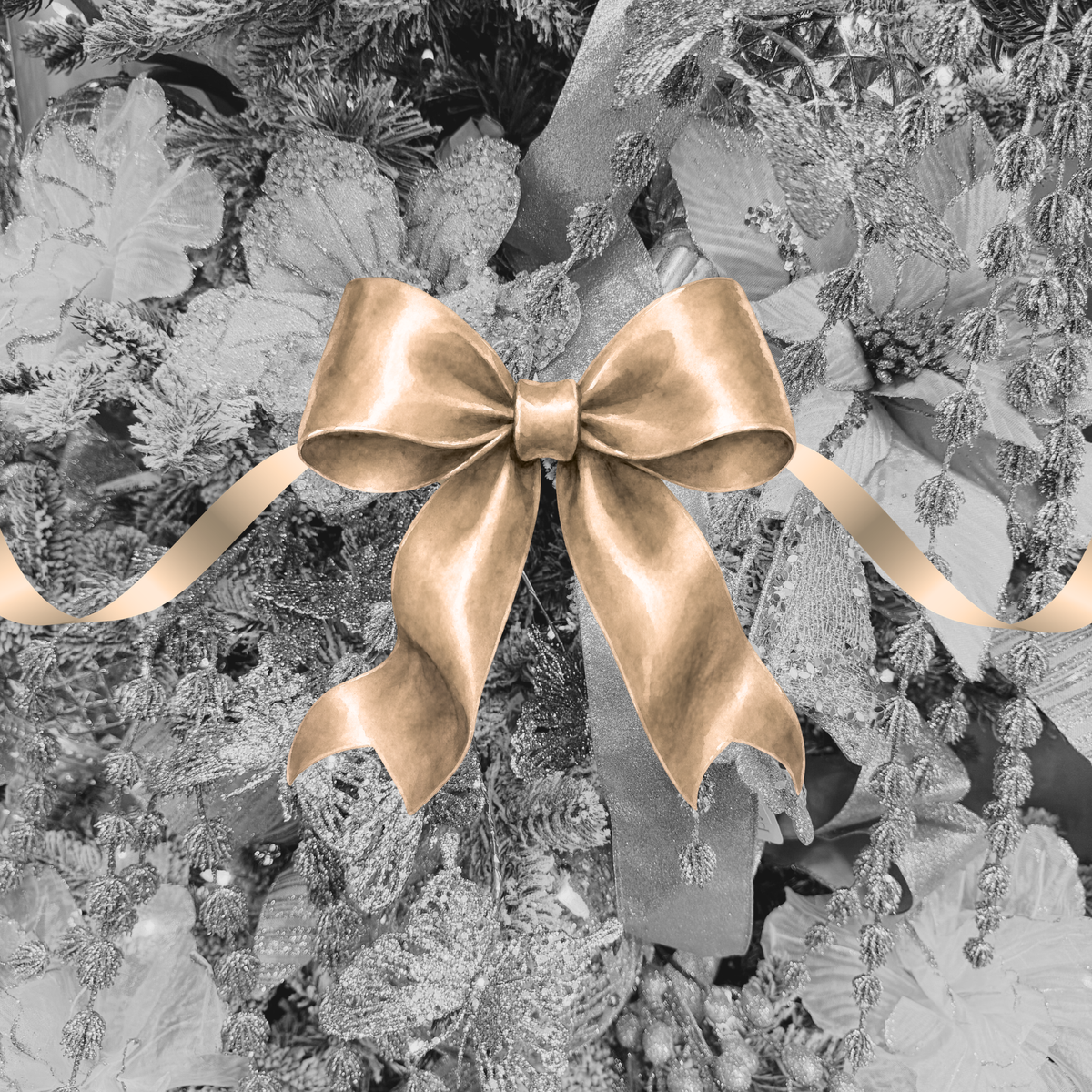 Launching November 2nd