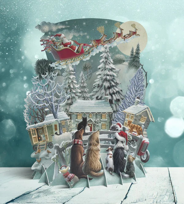 3D POP UP CHRISTMAS CARD - IT&