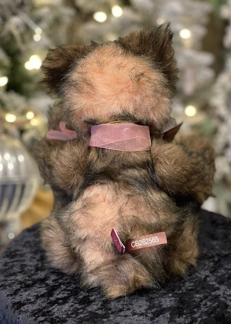 CHARLIE BEARS - SERENITY