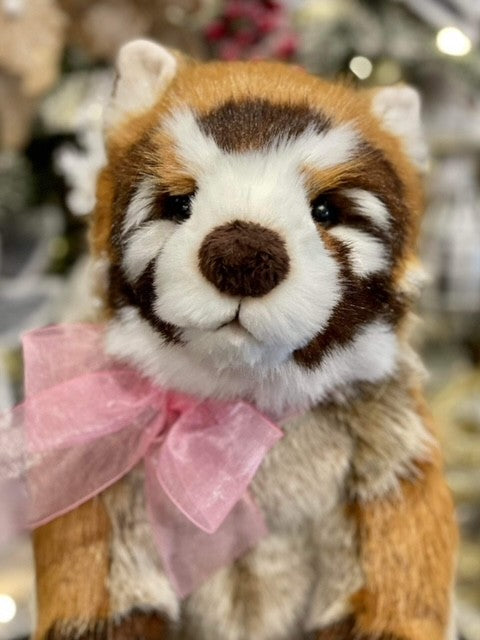 CHARLIE BEARS - PERTH