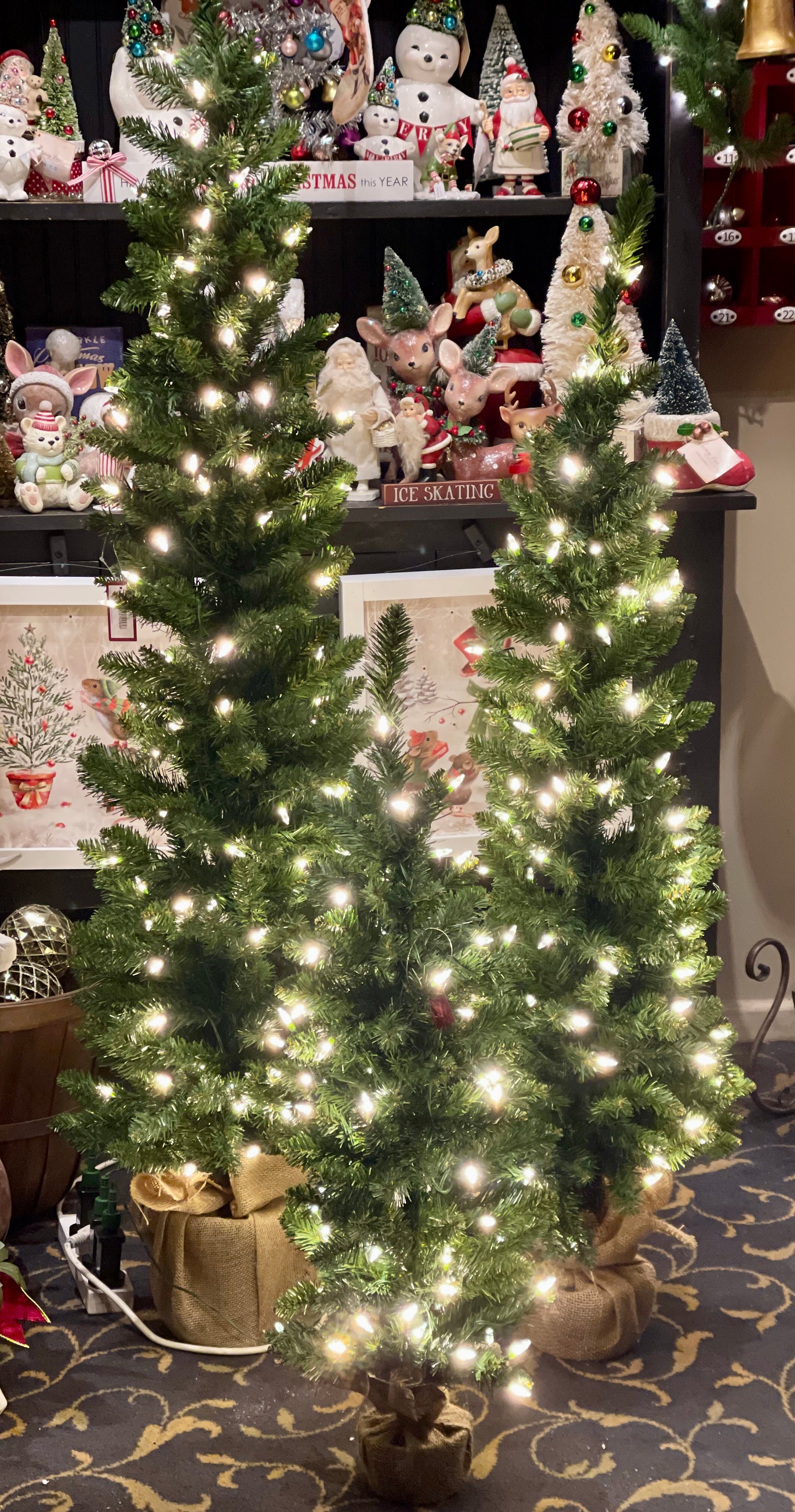 SET OF 3 PRE LIT SLIM CHRISTMAS TREES HZGB3 (BULKY ITEM EXTRA POSTAGE)