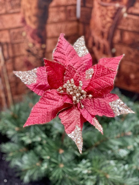 CRIMSON COPPER POINSETTIA X1001CO