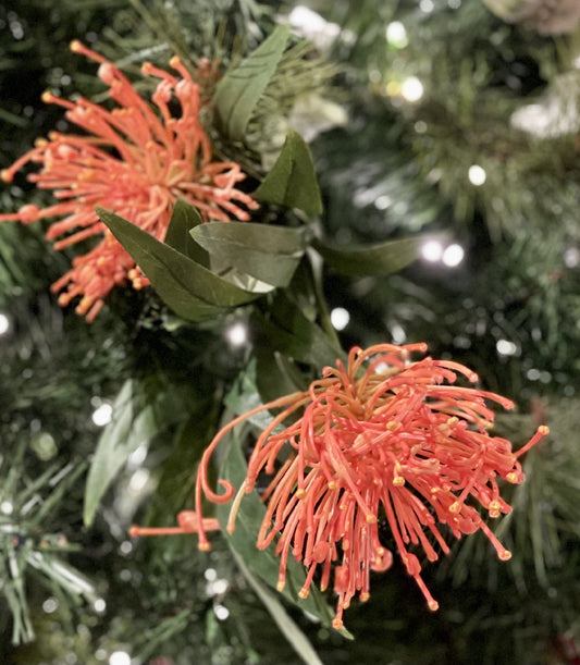 ORANGE GREVILLEA SPRAY 7027OR