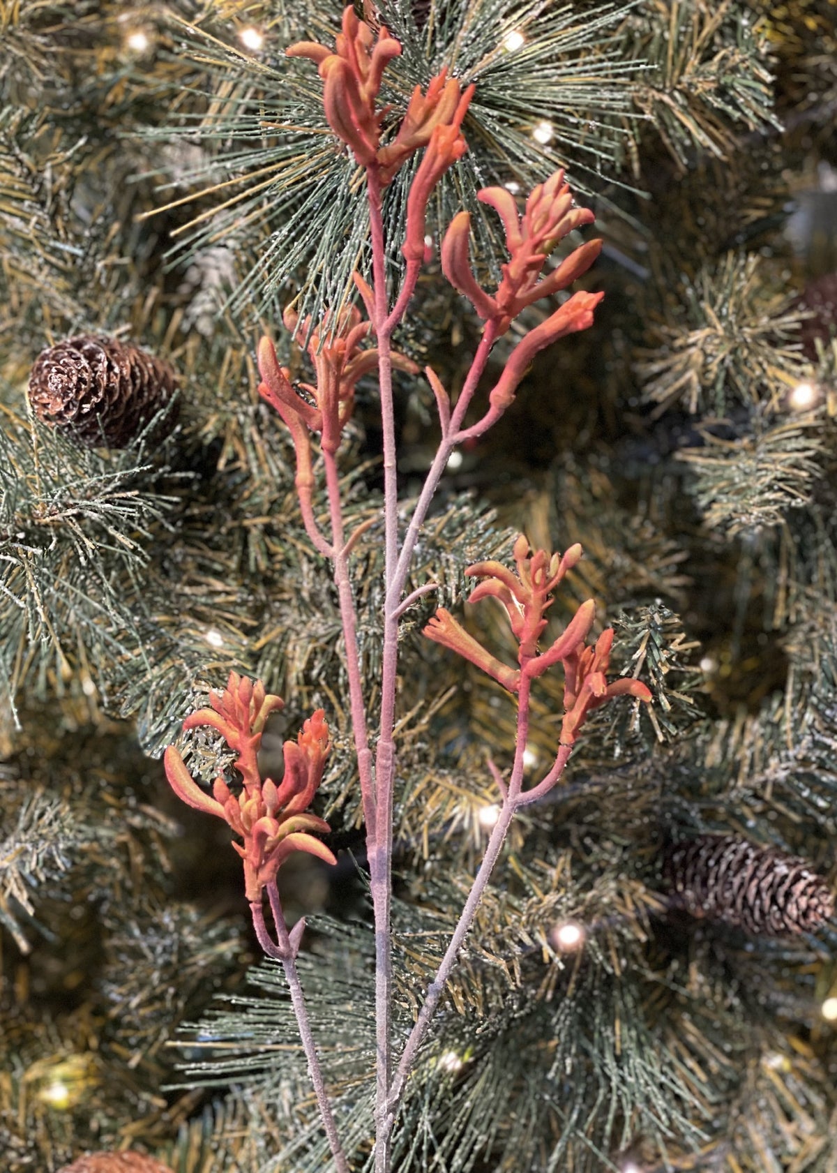 BROWN KANGAROO PAW SPRAY 75CM 7191BR
