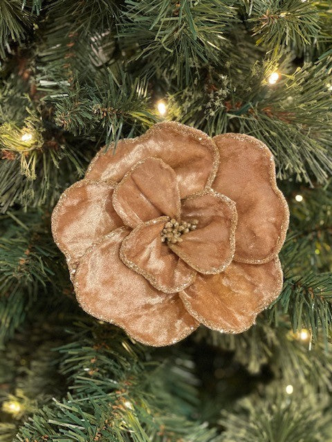 POLY VELVET MAGNOLIA CHAMPAGNE
