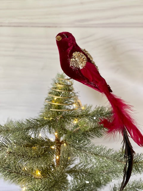 BURGUNDY PARROT TREETOPPER XFVFBBL