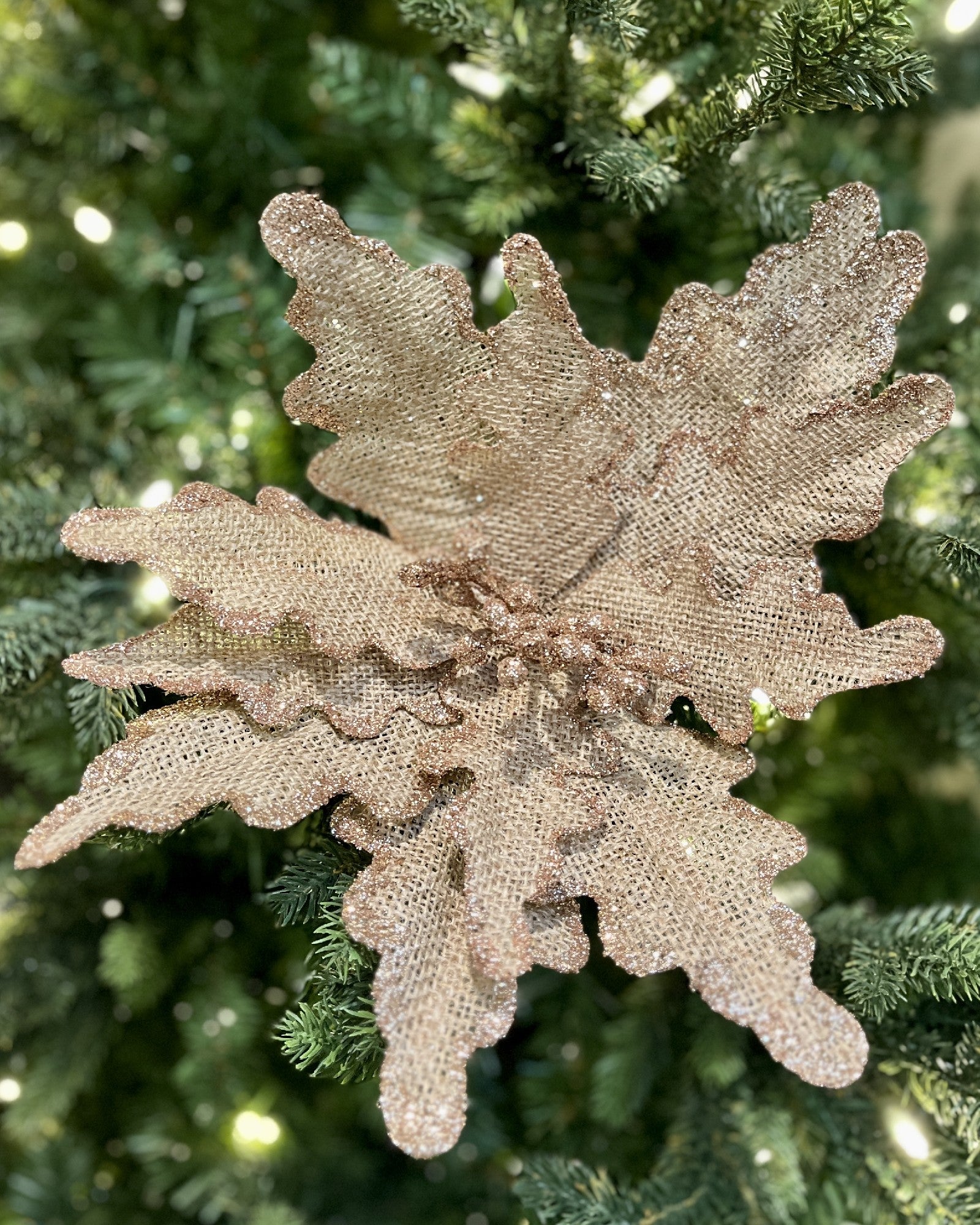 CLIP ON POINSETTIA NATURAL COPPER EDGE XDGYWAY