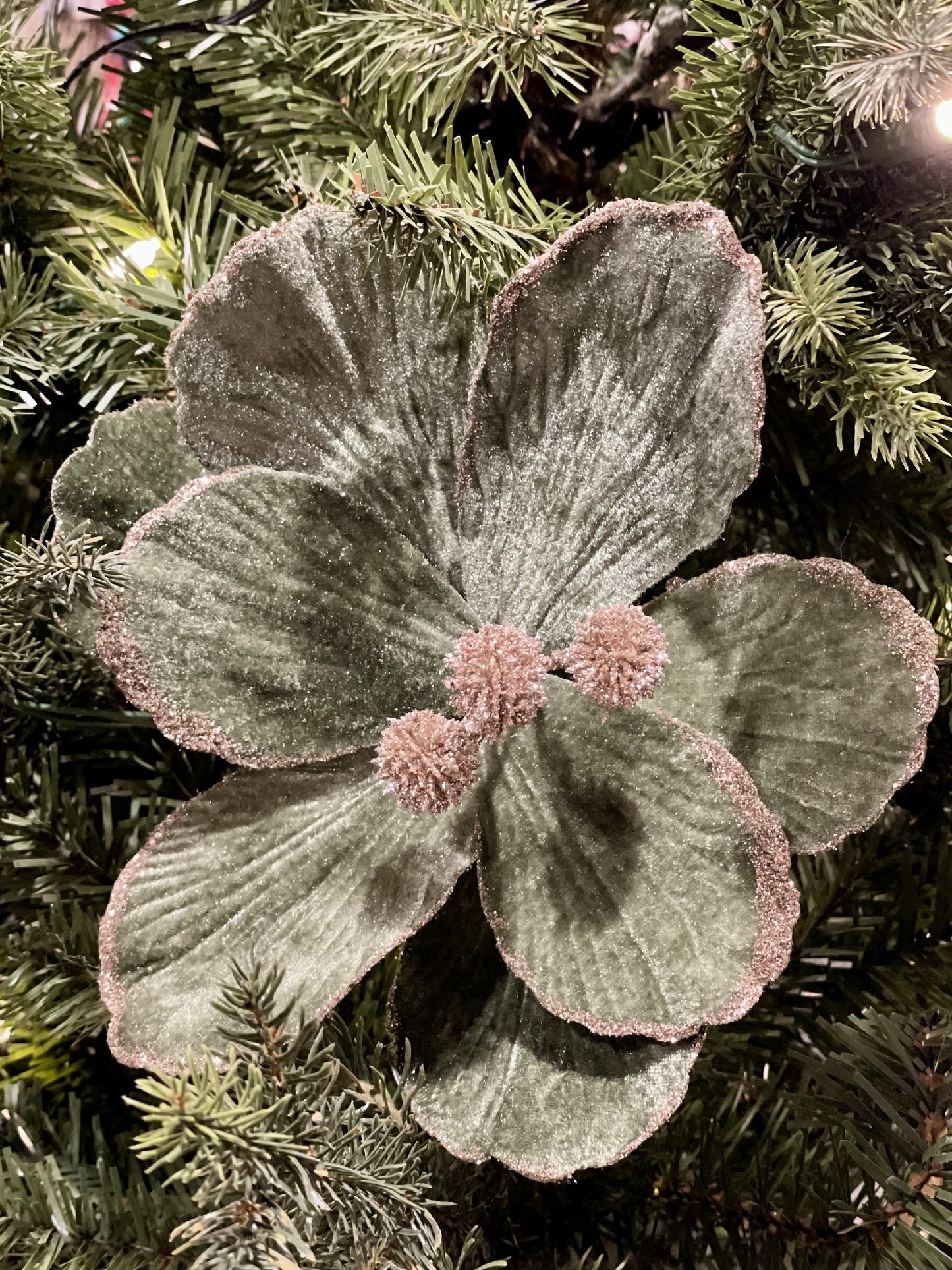 CLIP ON SAGE MAGNOLIA WITH CHAMPAGNE CENTRE XDGYWSA