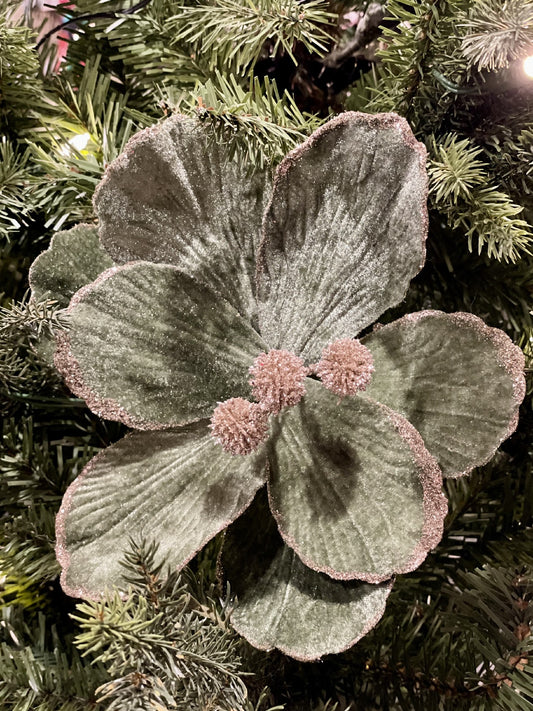 CLIP ON SAGE MAGNOLIA WITH CHAMPAGNE CENTRE XDGYWSA