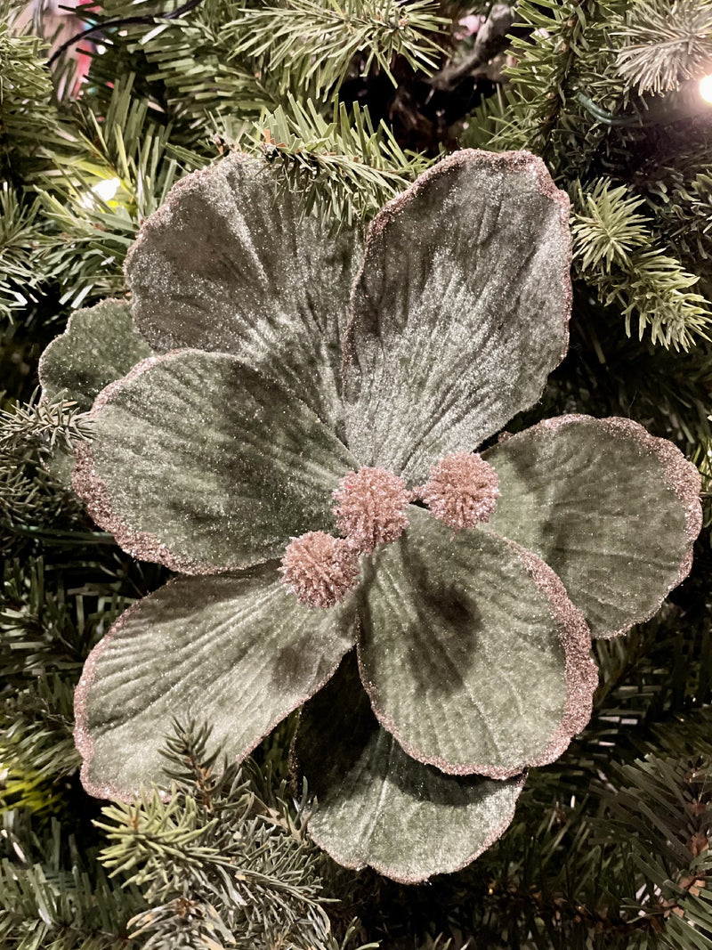 CLIP ON SAGE MAGNOLIA WITH CHAMPAGNE CENTRE XDGYWSA