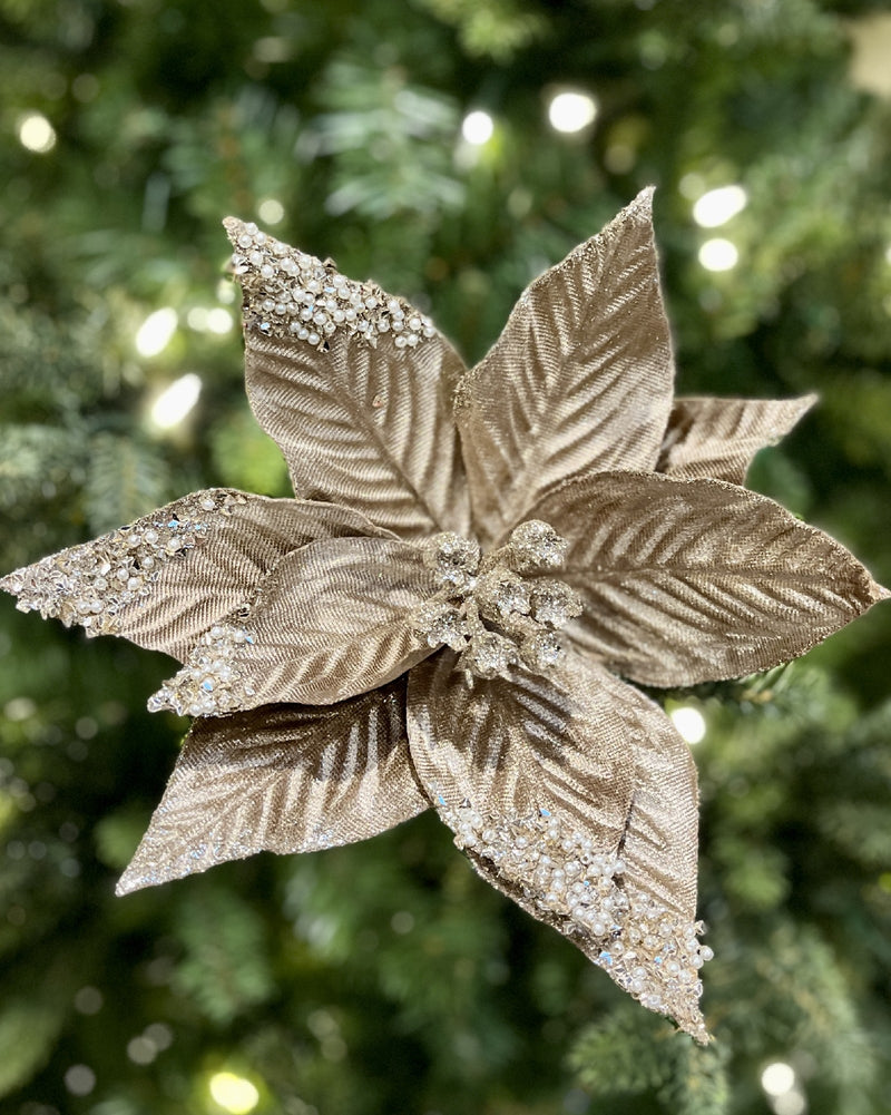 CLIP ON POINSETTIA TAN GLITTER PETALS XDGYWTC