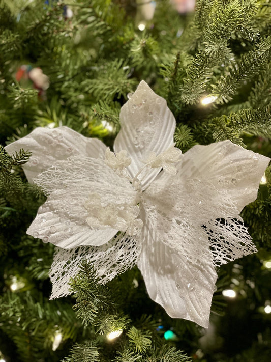 CLIP ON POINSETTIA WHITE & SHEER XDPSCWL