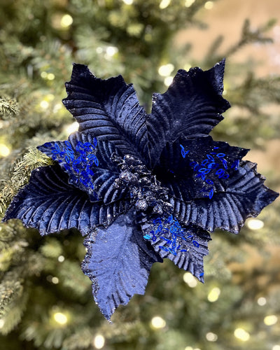 CLIP ON POINSETTIA ROYAL BLUE XDPSMDQ