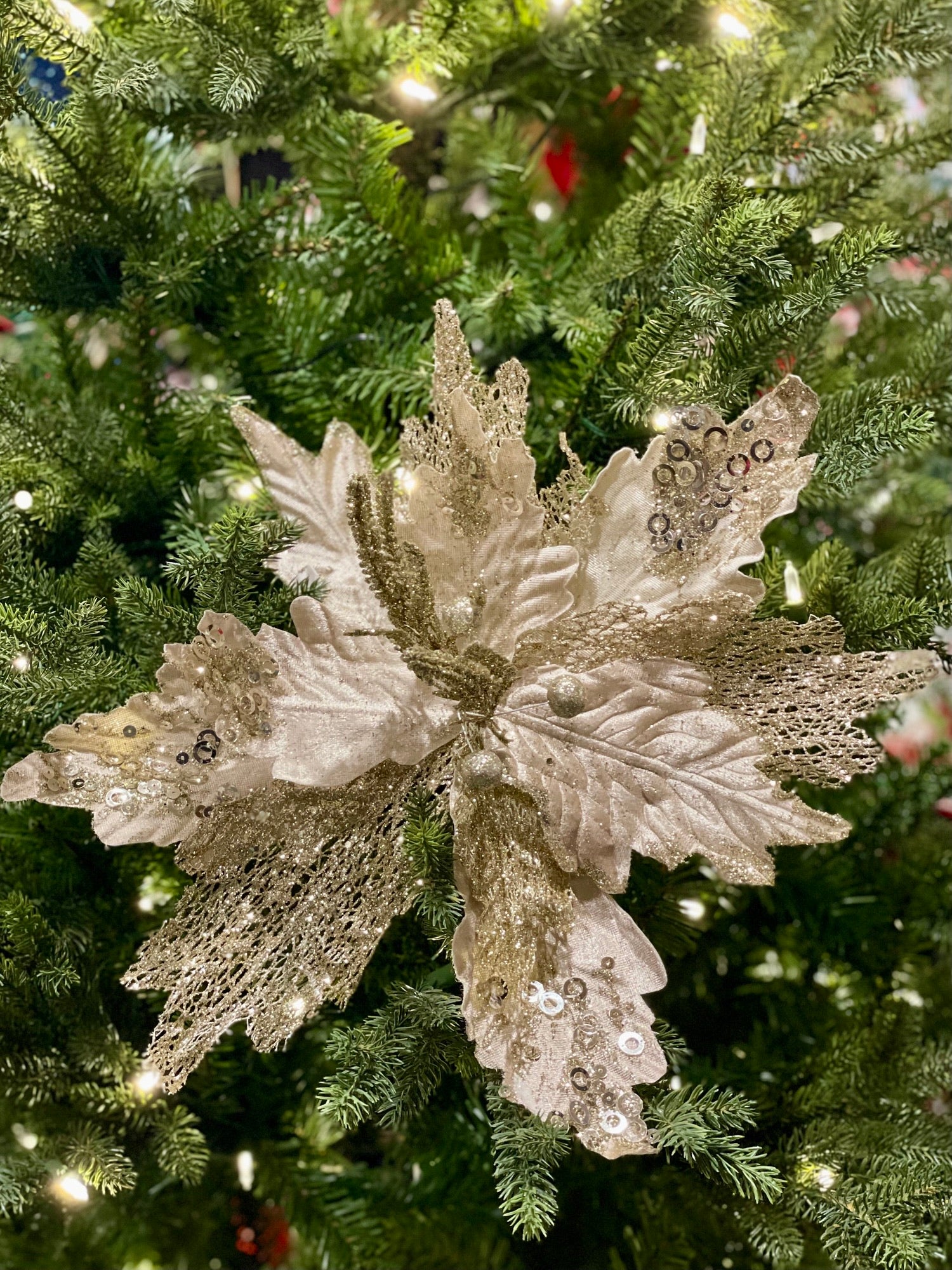 CLIP ON POINSETTIA CHAMPAGNE & GLITTER XDPSSCN