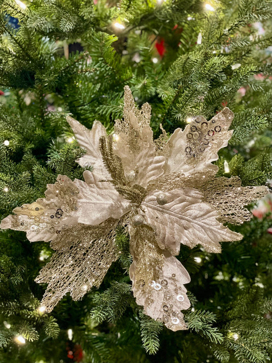 CLIP ON POINSETTIA CHAMPAGNE & GLITTER XDPSSCN