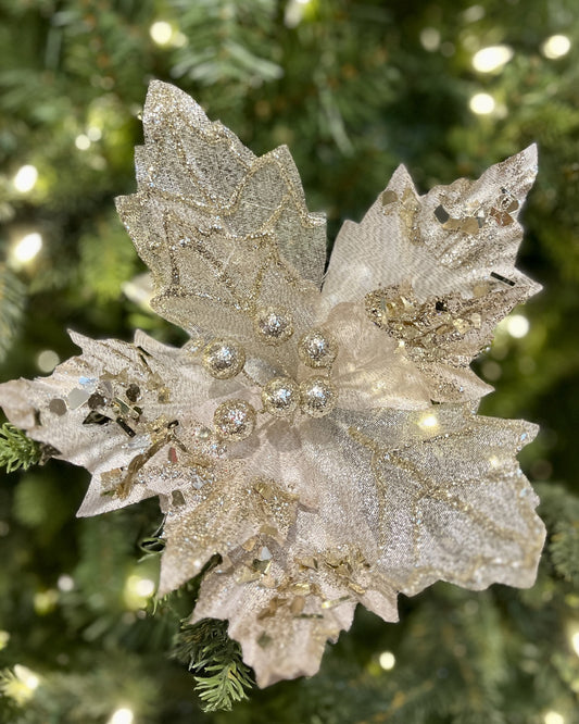 CLIP ON POINSETTIA SHEER CHAMPAGNE GLITTER XDPSSCP
