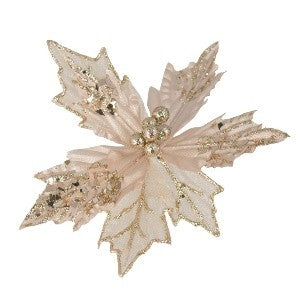 CLIP ON POINSETTIA SHEER CHAMPAGNE GLITTER XDPSSCP