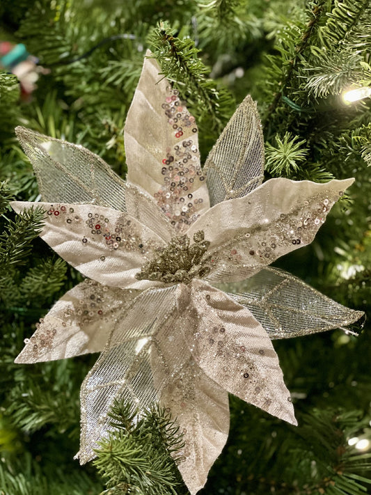 CLIP ON POINSETTIA CHAMPAGNE SHEER ENCRUSTED XDPSSCW