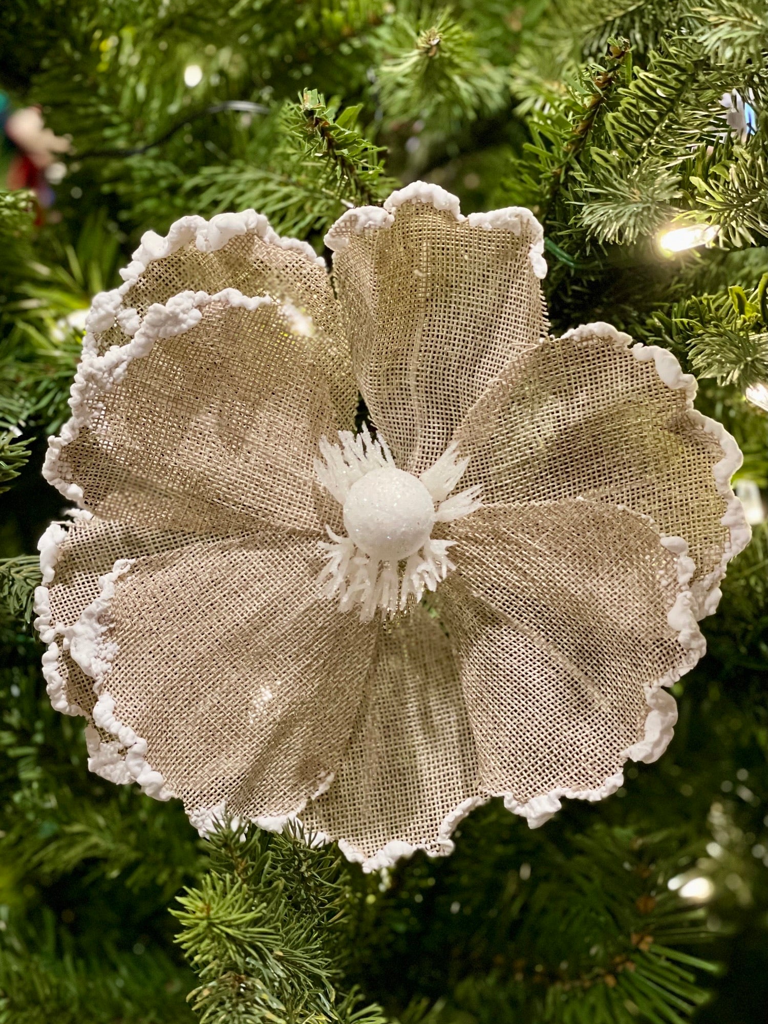 CLIP ON MAGNOLIA NATURAL WITH WHITE EDGE XDPSWNM