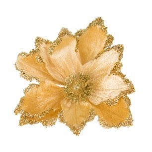 CLIP ON MAGNOLIA AMBER GOLD EDGE XDPSWAN