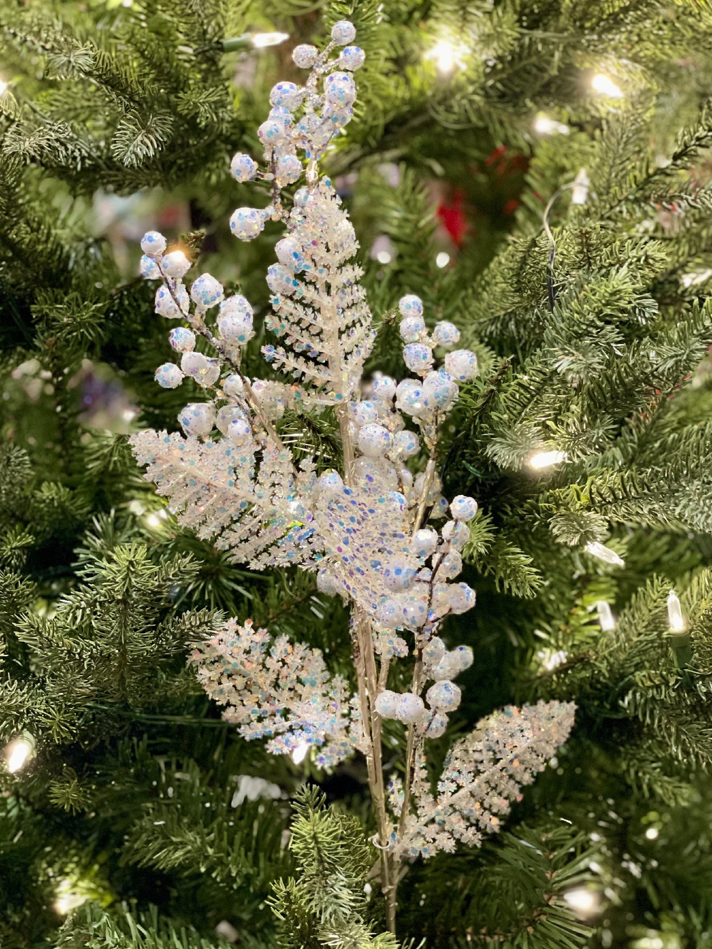 IRIDESCENT WHITE BERRY FERN SPRAY XQEBECW