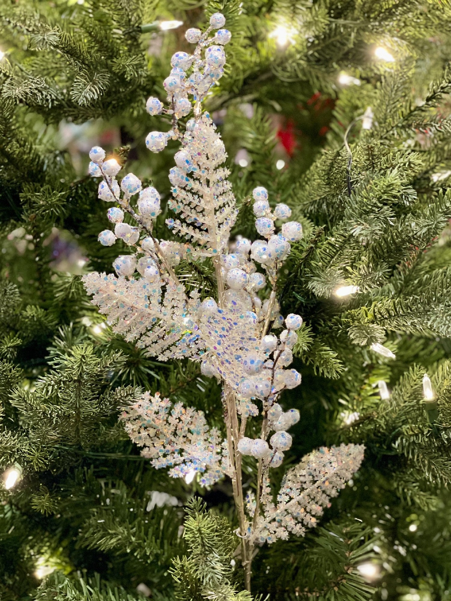 IRIDESCENT WHITE BERRY FERN SPRAY XQEBECW