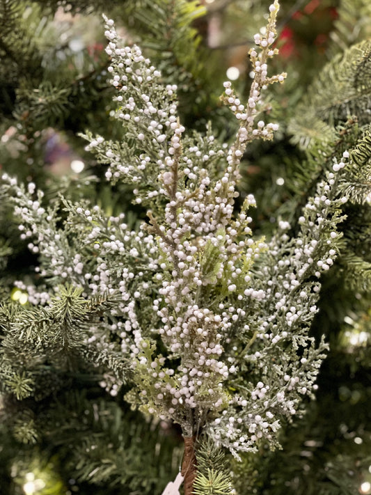 GREEN CEDAR SPRAY XDDGCSP