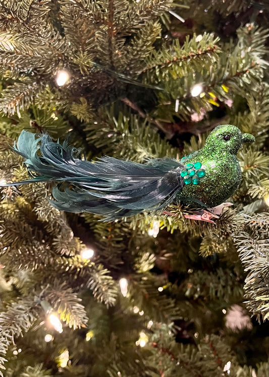 CLIP ON GLITTER BIRD W/CURL TAIL EMERALD XFRUCUE