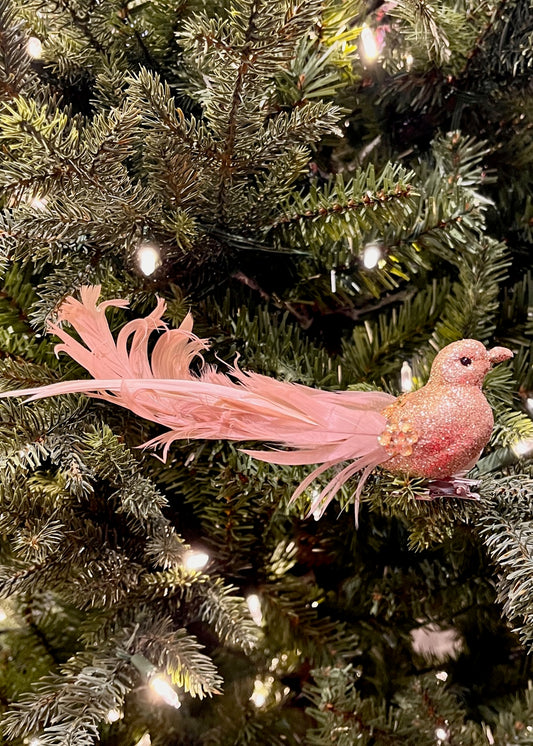 CLIP ON GLITTER BIRD W/CURL TAIL CHAMPAGNE XFRUCUG