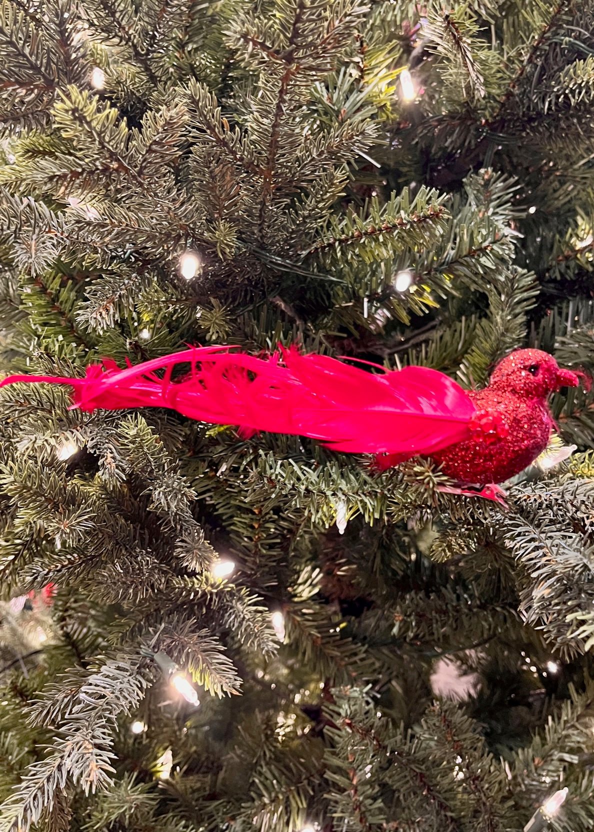 CLIP ON GLITTER BIRD W/CURL TAIL RED XFRUCUR