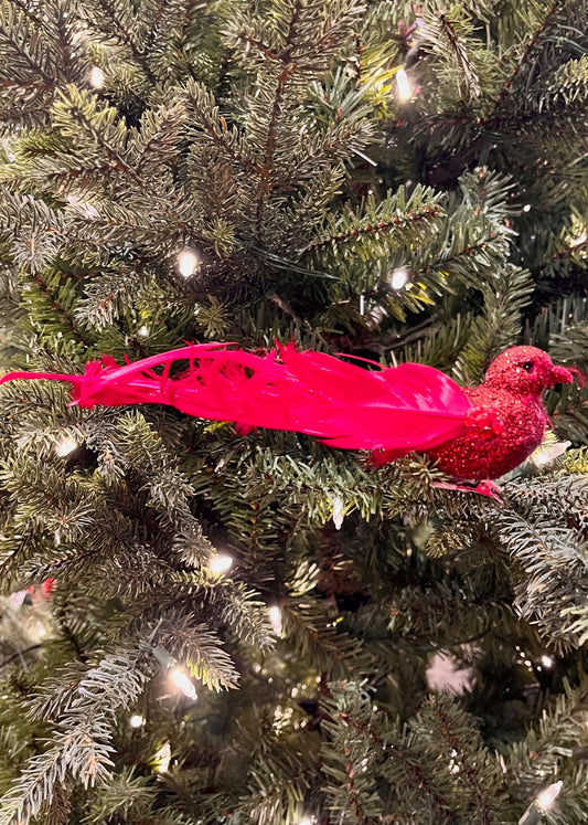 CLIP ON GLITTER BIRD W/CURL TAIL RED XFRUCUR