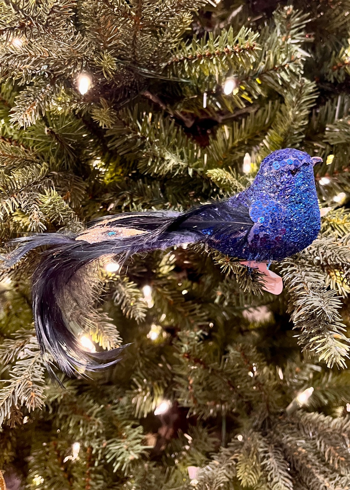 CLIP ON GLITTER BIRD W/JEWEL TAIL BLUE XFRUJTB