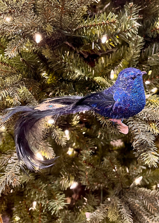 CLIP ON GLITTER BIRD W/JEWEL TAIL BLUE XFRUJTB