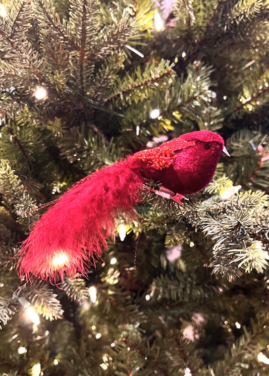 CLIP ON VELVET BIRD RED XFRUVER