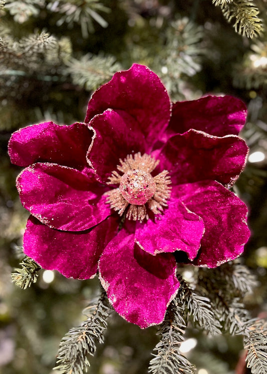 CLIP ON VELVET MAGNOLIA PLUM XFVIVMB
