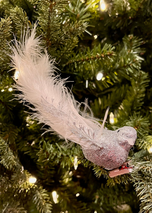 CLIP ON BIRD SILVER WHITE XFZQCW3