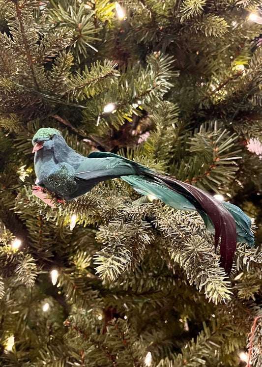 CLIP ON BIRD EMERALD XFZQME2