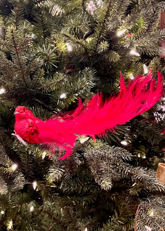 CLIP ON BIRD RED XFZQNR2