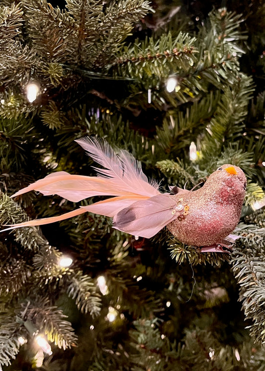 CLIP ON BIRD CHAMPAGNE CORAL XFZQSC2